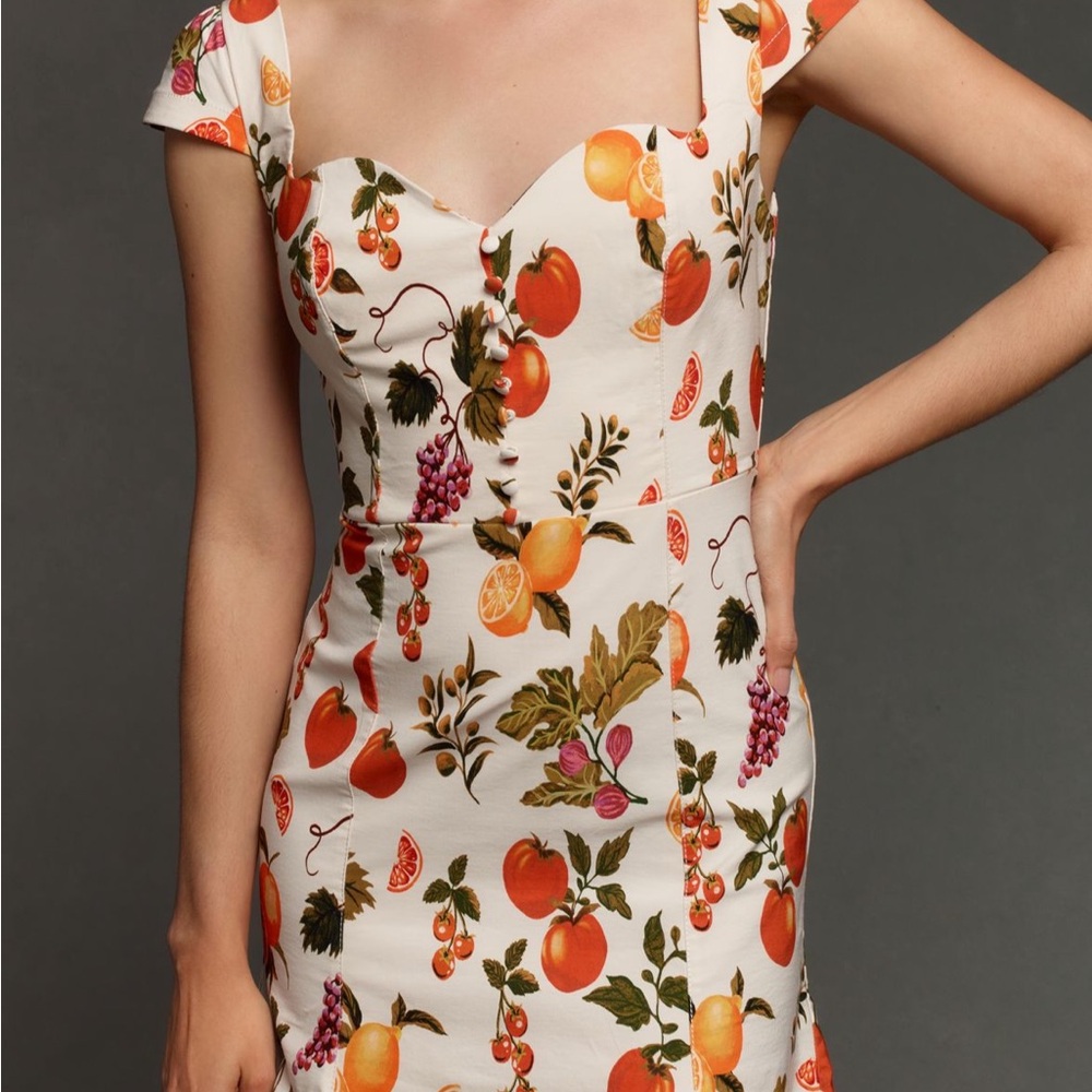 Cecily Floral Print Cap Sleeve Dress